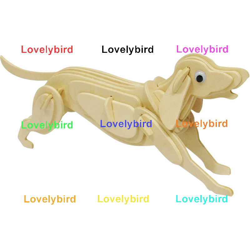 Cão